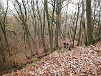 Rave Run - Fun places I have run.  A run from the town of Weinheim Germany to two castles outside of town on the hill tops.December 1, 2013. : Baden-Württemberg, Birkenau, DEU, Germany, Gorxheim, Hessen, Rave Run, Running, Weinheim