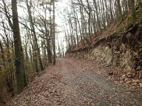 Rave Run - Fun places I have run.  A run from the town of Weinheim Germany to two castles outside of town on the hill tops.December 1, 2013. : Baden-Württemberg, Birkenau, DEU, Germany, Gorxheim, Hessen, Rave Run, Running, Weinheim