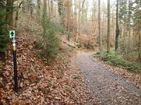 Rave Run - Fun places I have run.  A run from the town of Weinheim Germany to two castles outside of town on the hill tops.December 1, 2013. : Baden-Württemberg, DEU, Germany, Rave Run, Running, Weinheim