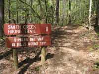 Rave Run Photos  The trail from Unicoi State Part to Anna Ruby Falls. A nice 9 mile round trip. : Georgia, Rave Runs, Robertstown, Sautee Nacoochee, United States, USA, Water Falls