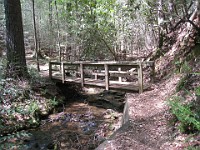 Rave Run Photos  The trail from Unicoi State Part to Anna Ruby Falls. A nice 9 mile round trip. : Georgia, Rave Runs, Robertstown, Sautee Nacoochee, United States, USA, Water Falls