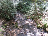 Rave Run Photos  The trail from Unicoi State Part to Anna Ruby Falls. A nice 9 mile round trip. : Georgia, Rave Runs, Robertstown, Sautee Nacoochee, United States, USA, Water Falls