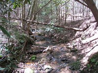 Rave Run Photos  The trail from Unicoi State Part to Anna Ruby Falls. A nice 9 mile round trip. : Georgia, Rave Runs, Robertstown, Sautee Nacoochee, United States, USA, Water Falls