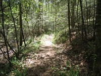 Rave Run Photos  The trail from Unicoi State Part to Anna Ruby Falls. A nice 9 mile round trip. : Georgia, Rave Runs, Robertstown, Sautee Nacoochee, United States, USA, Water Falls