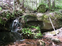Rave Run Photos  The trail from Unicoi State Part to Anna Ruby Falls. A nice 9 mile round trip. : Georgia, Rave Runs, Robertstown, Sautee Nacoochee, United States, USA, Water Falls