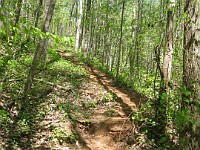 Rave Run Photos  The trail from Unicoi State Part to Anna Ruby Falls. A nice 9 mile round trip. : Georgia, Rave Runs, Robertstown, Sautee Nacoochee, United States, USA, Water Falls