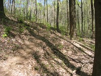 Rave Run Photos  The trail from Unicoi State Part to Anna Ruby Falls. A nice 9 mile round trip. : Georgia, Rave Runs, Robertstown, Sautee Nacoochee, United States, USA, Water Falls