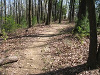 Rave Run Photos  The trail from Unicoi State Part to Anna Ruby Falls. A nice 9 mile round trip. : Georgia, Rave Runs, Robertstown, Sautee Nacoochee, United States, USA, Water Falls