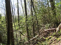Rave Run Photos  The trail from Unicoi State Part to Anna Ruby Falls. A nice 9 mile round trip. : Georgia, Rave Runs, Robertstown, Sautee Nacoochee, United States, USA, Water Falls