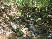 Rave Run Photos  The trail from Unicoi State Part to Anna Ruby Falls. A nice 9 mile round trip. : Georgia, Rave Runs, Robertstown, Sautee Nacoochee, United States, USA, Water Falls
