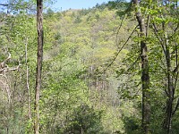 Rave Run Photos  The trail from Unicoi State Part to Anna Ruby Falls. A nice 9 mile round trip. : Georgia, Rave Runs, Robertstown, Sautee Nacoochee, United States, USA, Water Falls