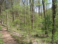 Rave Run Photos  The trail from Unicoi State Part to Anna Ruby Falls. A nice 9 mile round trip. : Georgia, Rave Runs, Robertstown, Sautee Nacoochee, United States, USA, Water Falls
