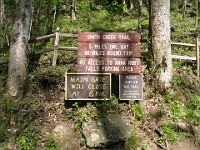 Rave Run Photos  The trail from Unicoi State Part to Anna Ruby Falls. A nice 9 mile round trip. : Georgia, Rave Runs, Robertstown, Sautee Nacoochee, United States, USA, Water Falls