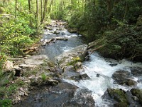Rave Run Photos  The trail from Unicoi State Part to Anna Ruby Falls. A nice 9 mile round trip. : Georgia, Rave Runs, Robertstown, Sautee Nacoochee, United States, USA, Water Falls