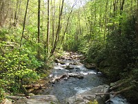 Rave Run Photos  The trail from Unicoi State Part to Anna Ruby Falls. A nice 9 mile round trip. : Georgia, Rave Runs, Robertstown, Sautee Nacoochee, United States, USA, Water Falls