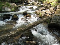 Rave Run Photos  The trail from Unicoi State Part to Anna Ruby Falls. A nice 9 mile round trip. : Georgia, Rave Runs, Robertstown, Sautee Nacoochee, United States, USA, Water Falls