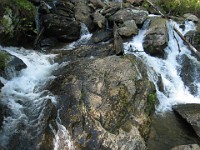 Rave Run Photos  The trail from Unicoi State Part to Anna Ruby Falls. A nice 9 mile round trip. : Georgia, Rave Runs, Robertstown, Sautee Nacoochee, United States, USA, Water Falls