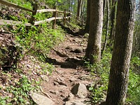 Rave Run Photos  The trail from Unicoi State Part to Anna Ruby Falls. A nice 9 mile round trip. : Georgia, Rave Runs, Robertstown, Sautee Nacoochee, United States, USA, Water Falls