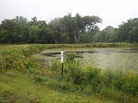 Rave Run Photos  FOMBA Mountain Bike Trails in Manchester NH. : Auburn, Hooks Crossing, New Hampshire, Rave Runs, Running, Trail, United States, USA
