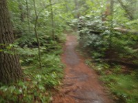 Rave Run Photos  FOMBA Mountain Bike Trails in Manchester NH. : Auburn, Hooks Crossing, New Hampshire, Rave Runs, Running, Trail, United States, USA