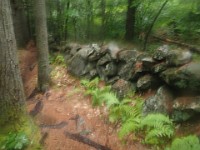 Rave Run Photos  FOMBA Mountain Bike Trails in Manchester NH. : Auburn, Hooks Crossing, New Hampshire, Rave Runs, Running, Trail, United States, USA