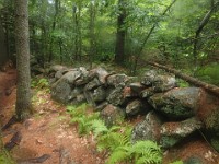 Rave Run Photos  FOMBA Mountain Bike Trails in Manchester NH. : Auburn, Hooks Crossing, New Hampshire, Rave Runs, Running, Trail, United States, USA