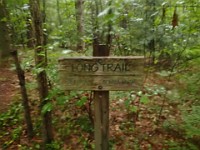 Rave Run Photos  FOMBA Mountain Bike Trails in Manchester NH. : Auburn, Hooks Crossing, New Hampshire, Rave Runs, Running, Trail, United States, USA