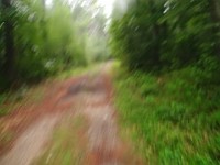 Rave Run Photos  FOMBA Mountain Bike Trails in Manchester NH. : Auburn, Hooks Crossing, New Hampshire, Rave Runs, Running, Trail, United States, USA