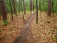 Rave Run Photos  FOMBA Mountain Bike Trails in Manchester NH. : Auburn, Hooks Crossing, New Hampshire, Rave Runs, Running, Trail, United States, USA