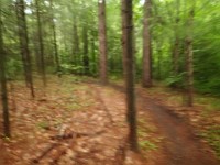 Rave Run Photos  FOMBA Mountain Bike Trails in Manchester NH. : Auburn, Hooks Crossing, New Hampshire, Rave Runs, Running, Trail, United States, USA