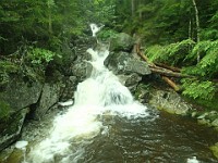 2014 Mt Eisenhower NH 2014-07-28 017 : Bretton Woods, New Hampshire, United States, USA