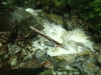 2014 Mt Eisenhower NH 2014-07-28 018 : Bretton Woods, New Hampshire, United States, USA