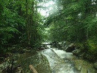 2014 Mt Eisenhower NH 2014-07-28 019 : Bretton Woods, New Hampshire, United States, USA