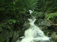 2014 Mt Eisenhower NH 2014-07-28 020 : Bretton Woods, New Hampshire, United States, USA