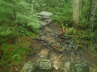2014 Mt Eisenhower NH 2014-07-28 021 : Bretton Woods, New Hampshire, United States, USA