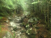 2014 Mt Eisenhower NH 2014-07-28 027 : Bretton Woods, Marshfield Station, New Hampshire, Twin Mountain, United States, USA