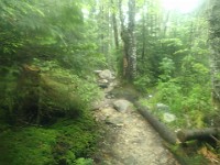 2014 Mt Eisenhower NH 2014-07-28 028 : Bretton Woods, Marshfield Station, New Hampshire, Twin Mountain, United States, USA