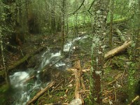 2014 Mt Eisenhower NH 2014-07-28 029 : Bretton Woods, Marshfield Station, New Hampshire, Twin Mountain, United States, USA