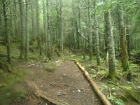 2014 Mt Eisenhower NH 2014-07-28 030 : Bretton Woods, Marshfield Station, New Hampshire, Twin Mountain, United States, USA