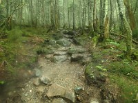 2014 Mt Eisenhower NH 2014-07-28 031 : Bretton Woods, Marshfield Station, New Hampshire, Twin Mountain, United States, USA