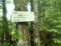 2014 Mt Eisenhower NH 2014-07-28 032 : Bretton Woods, Marshfield Station, New Hampshire, Twin Mountain, United States, USA