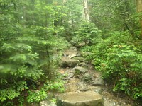 2014 Mt Eisenhower NH 2014-07-28 033 : Bretton Woods, Marshfield Station, New Hampshire, Twin Mountain, United States, USA