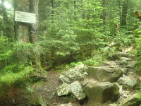2014 Mt Eisenhower NH 2014-07-28 035 : Bretton Woods, Marshfield Station, New Hampshire, Twin Mountain, United States, USA