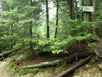 2014 Mt Eisenhower NH 2014-07-28 038 : Bretton Woods, Marshfield Station, New Hampshire, Twin Mountain, United States, USA
