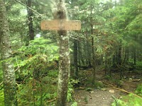 2014 Mt Eisenhower NH 2014-07-28 040 : Bretton Woods, Marshfield Station, New Hampshire, Twin Mountain, United States, USA