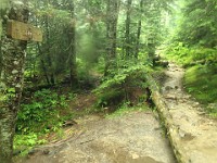 2014 Mt Eisenhower NH 2014-07-28 041 : Bretton Woods, Marshfield Station, New Hampshire, Twin Mountain, United States, USA
