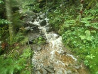 2014 Mt Eisenhower NH 2014-07-28 042 : Bretton Woods, Marshfield Station, New Hampshire, Twin Mountain, United States, USA