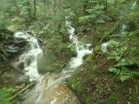 2014 Mt Eisenhower NH 2014-07-28 047 : Bretton Woods, Marshfield Station, New Hampshire, Twin Mountain, United States, USA