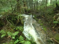 2014 Mt Eisenhower NH 2014-07-28 048 : Bretton Woods, Marshfield Station, New Hampshire, Twin Mountain, United States, USA