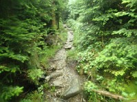 2014 Mt Eisenhower NH 2014-07-28 049 : Bretton Woods, Marshfield Station, New Hampshire, Twin Mountain, United States, USA